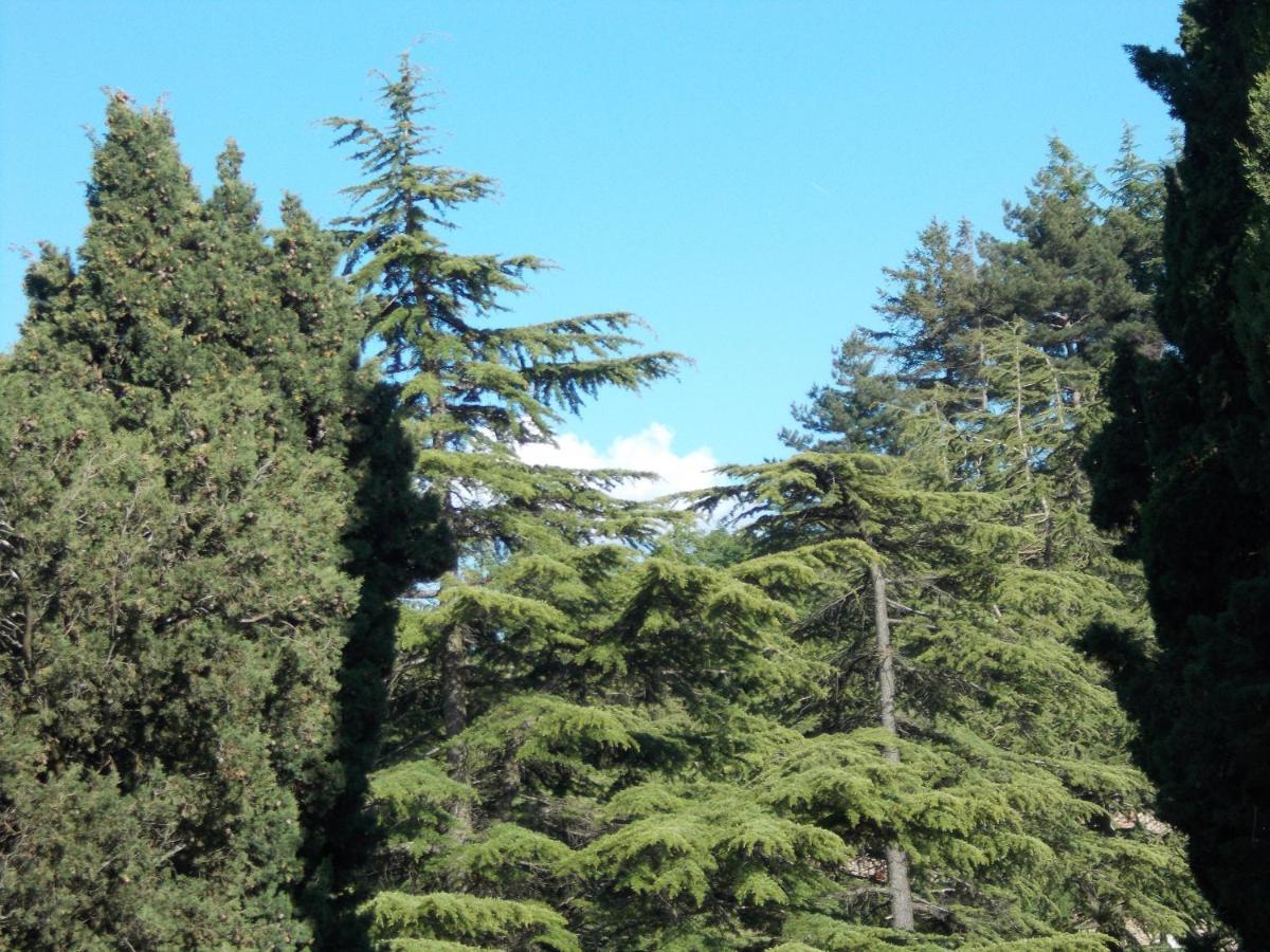 كاستيلنوفو دي فال دي سيسينا La Vecchia Locanda المظهر الخارجي الصورة
